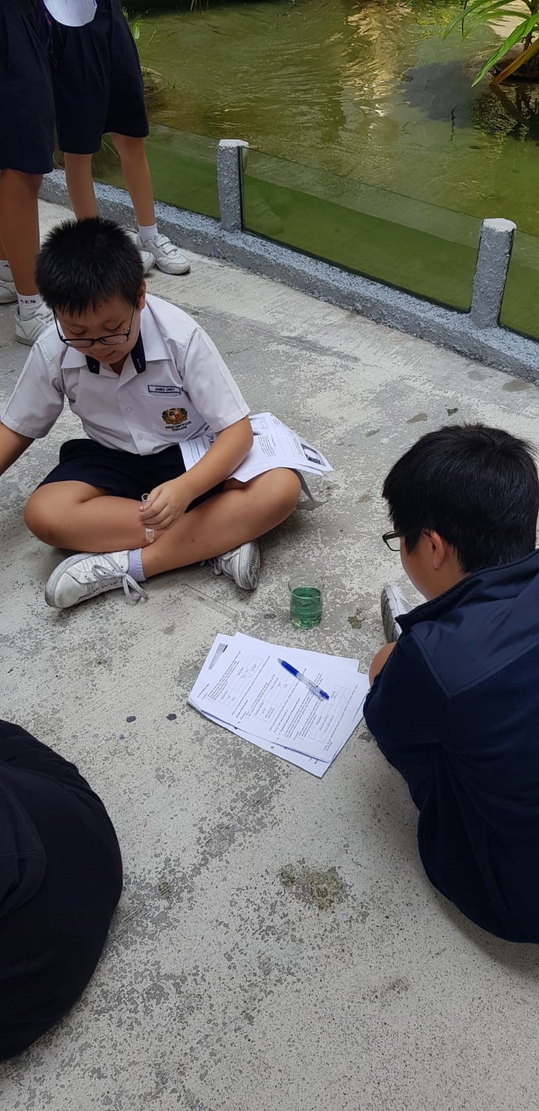 Secondary 1 Science: Water Filtration Project